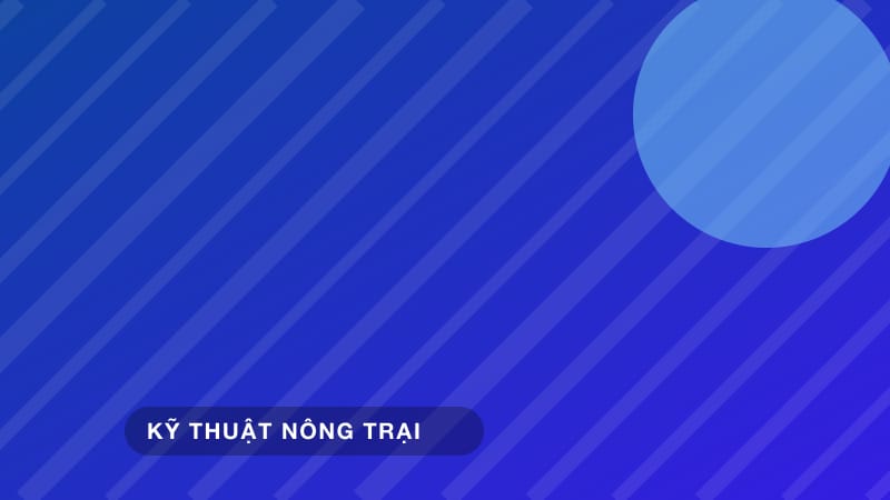 Cách phòng ngừa các bệnh đường hô hấp phổ biến ở bò