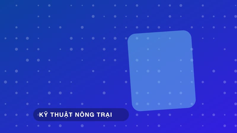 Kỹ thuật nuôi gà chọi sung mãn, khỏe mạnh chuẩn nhà nghề